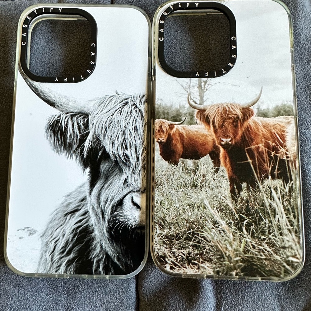 Casetify 13 Pro Case